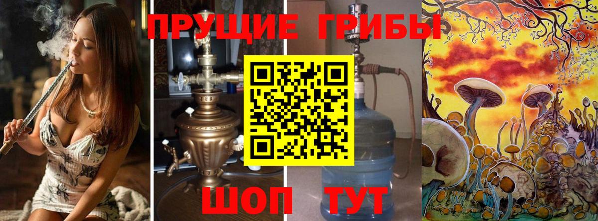 Нововоронеж  купить  сайты  Галлюциногенные грибы Magic Shrooms  Вход с VPN  Псилоцибиновые грибы ЛСД 